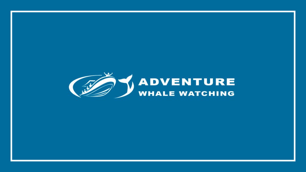 adventure-whale-watching-logo